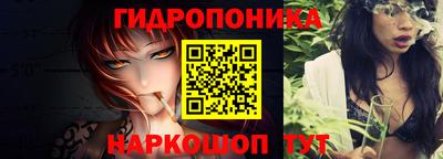 кокс Гусев