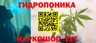 прущие грибы Гусиноозёрск