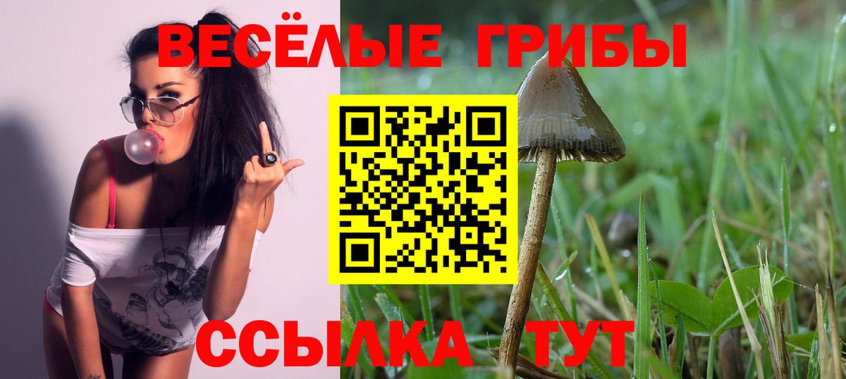 Псилоцибиновые грибы мицелий  Вход с VPN  купить   Псилоцибиновые грибы Cubensis  Луга 